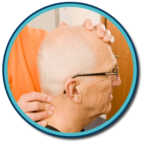 Gonstead Visualization